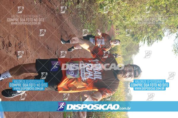 Foto 7323253