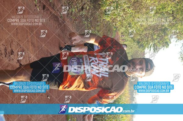 Foto 7323255