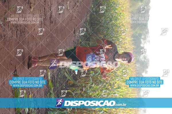 Foto 7323290