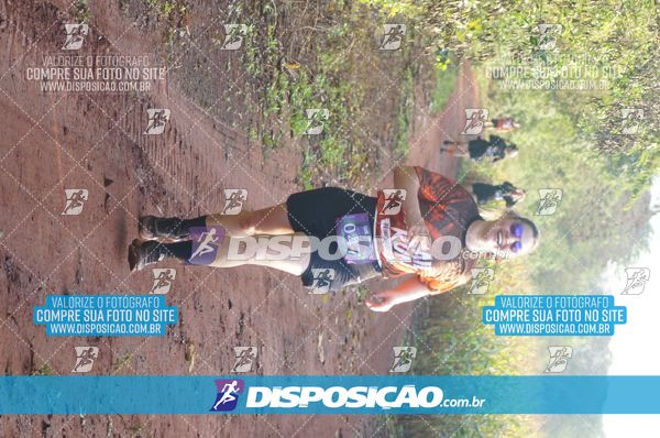 Foto 7323292