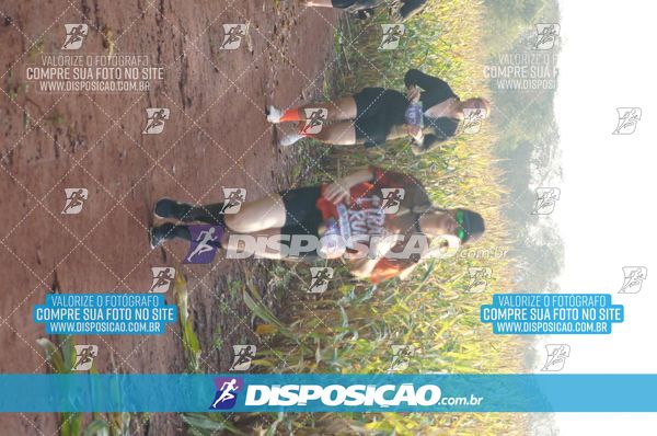 Foto 7323307