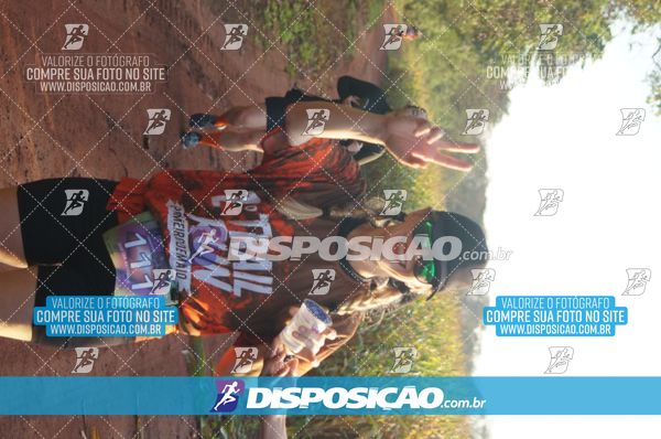 Foto 7323310