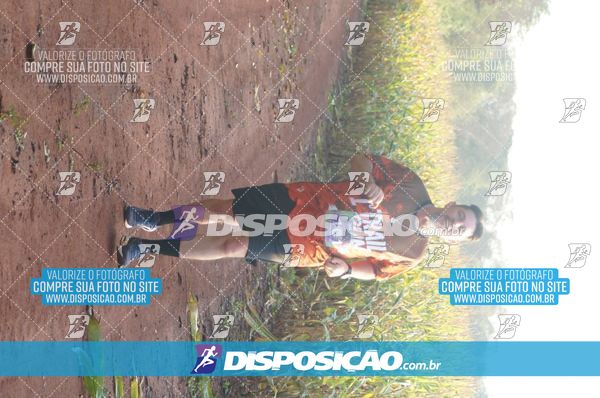 Foto 7323324