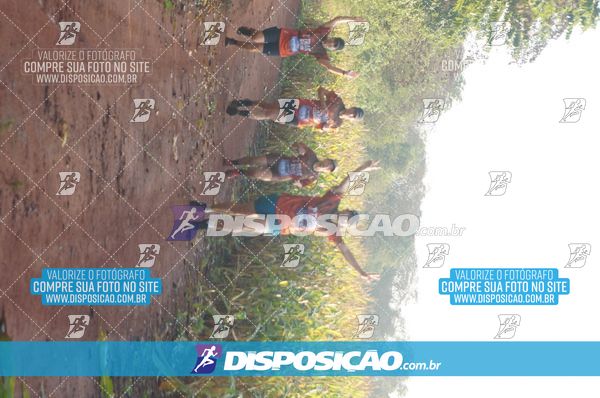 Foto 7323341