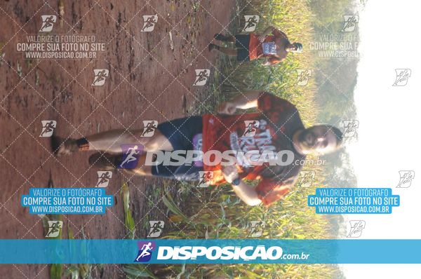 Foto 7323364