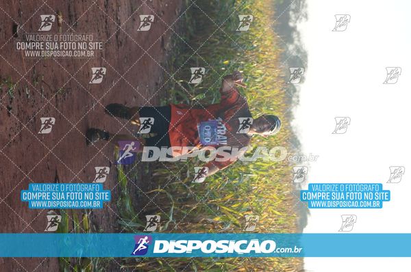 Foto 7323371