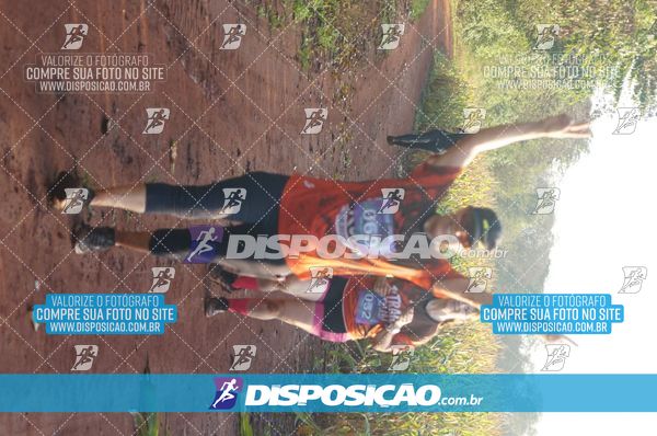 Foto 7323382