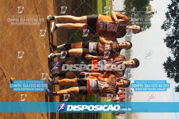 Foto 7323757