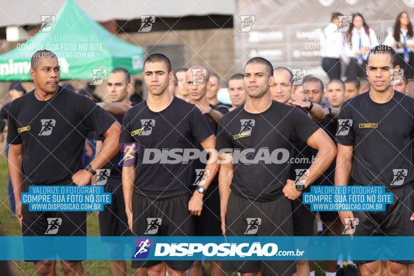 Foto 7284087