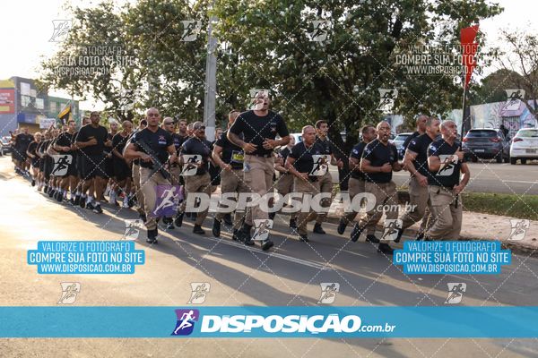 Foto 7251238