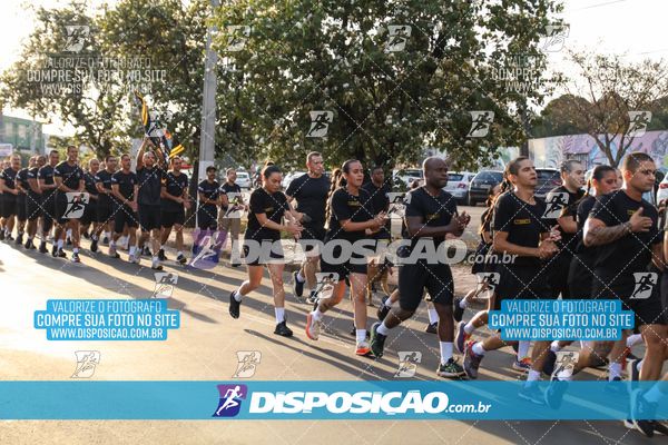Foto 7251302