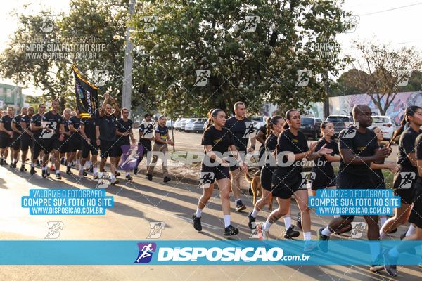 Foto 7251307