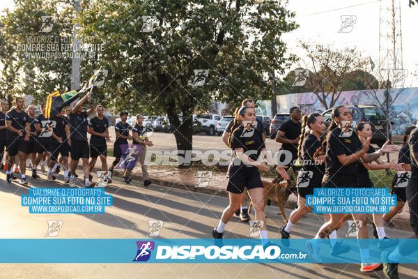 Foto 7251321