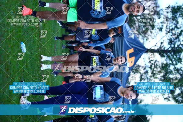 Foto 7277230