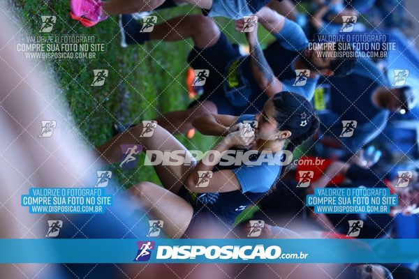 Foto 7277340