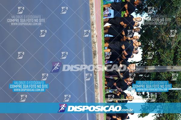 Foto 7283081