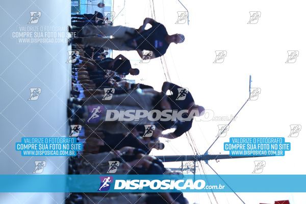 Foto 7283239
