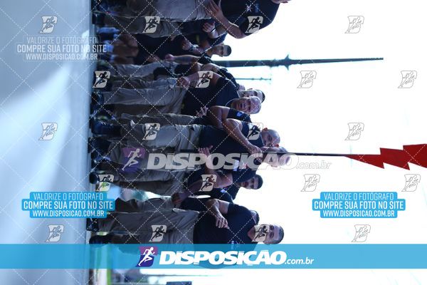 Foto 7283219