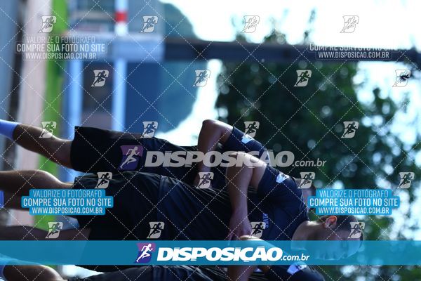 Foto 7283356