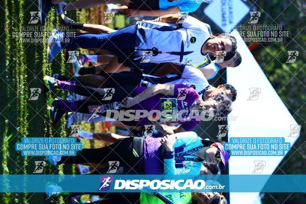 Foto 7284395
