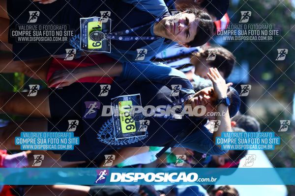 Foto 7284396