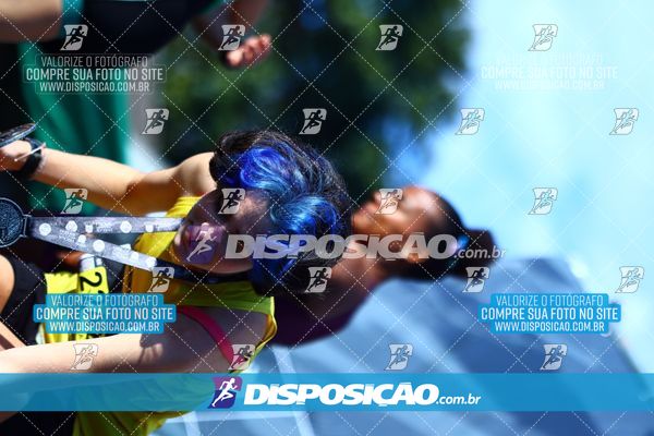 Foto 7284431