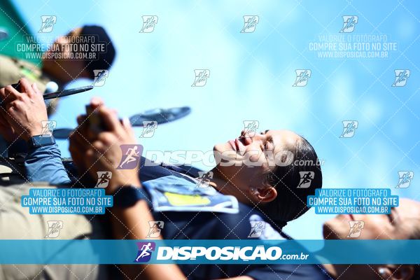 Foto 7284491