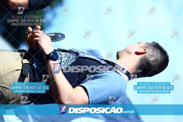 Foto 7284616