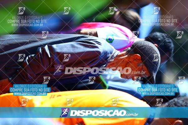Foto 7284726