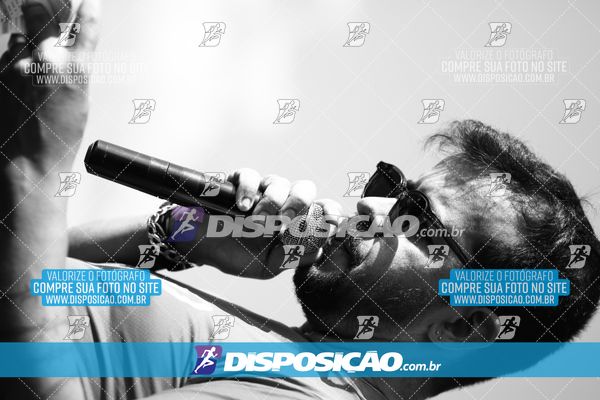 Foto 7284723