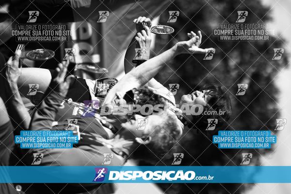 Foto 7284731
