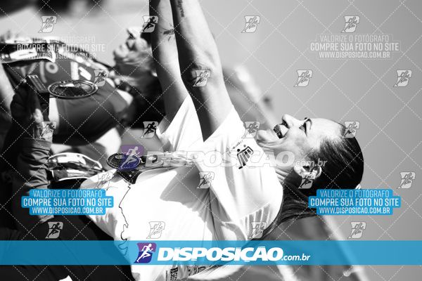 Foto 7284741
