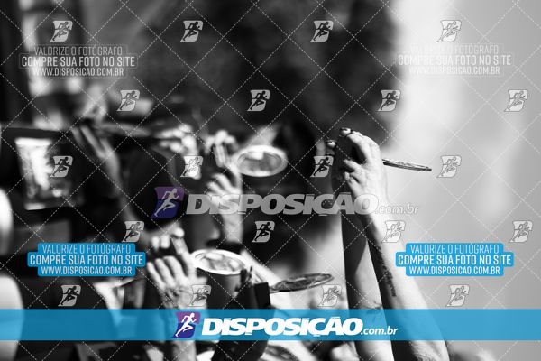 Foto 7284744
