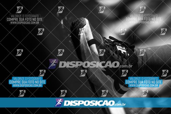 Foto 7284757