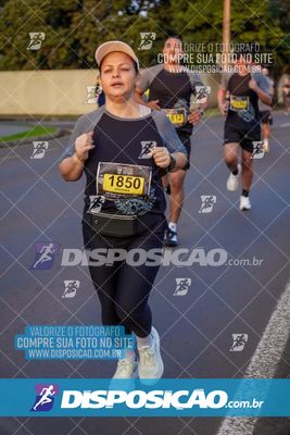 Foto 7297302