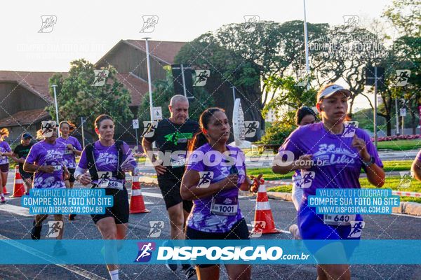 Foto 7355337