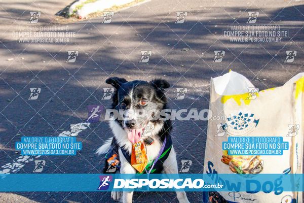 Foto 7356309
