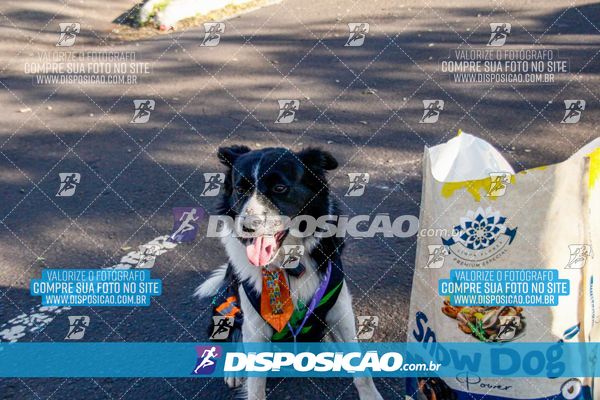 Foto 7356308