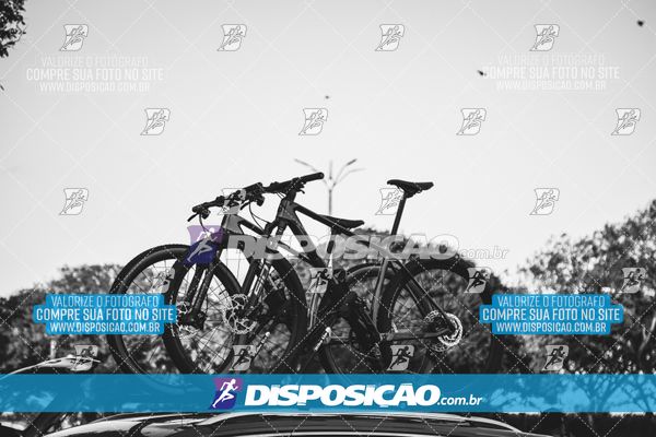 Foto 7351505