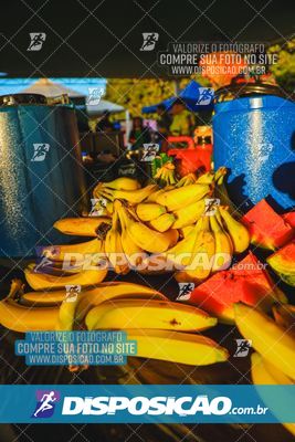 Foto 7351547