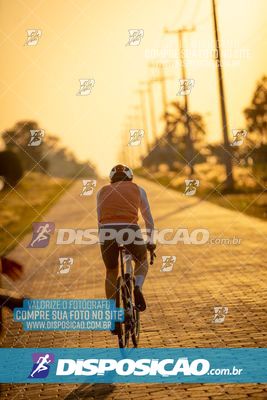 Foto 7350832