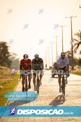 Foto 7350894