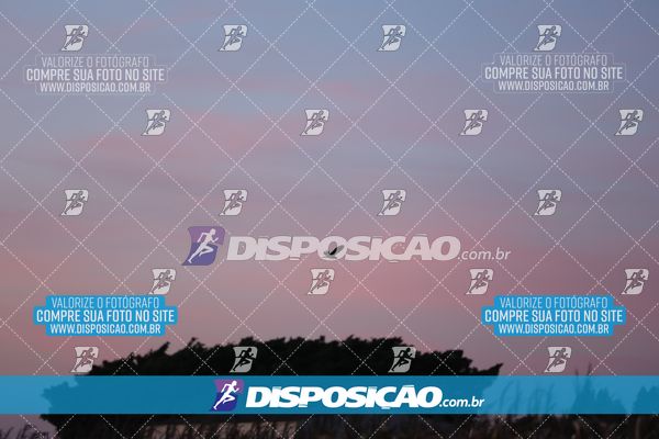 Foto 7326813