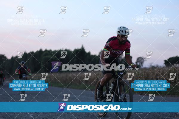 Foto 7328199