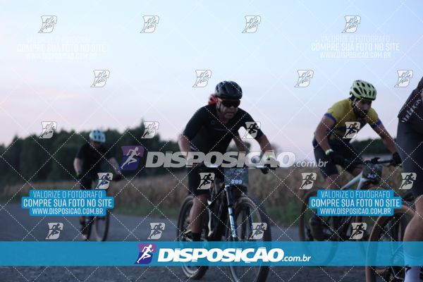 Foto 7329480