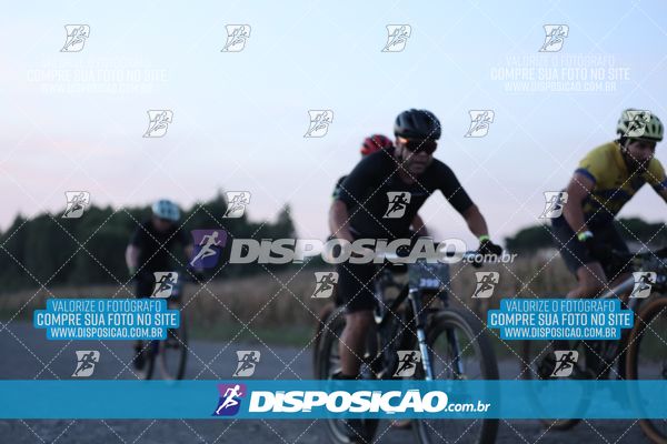Foto 7329482