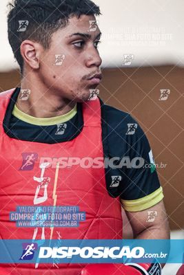 Foto 7533194