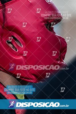Foto 7536384