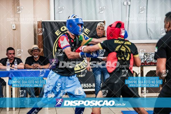 Foto 7536536