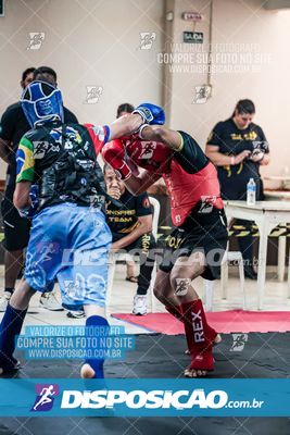 Foto 7535557
